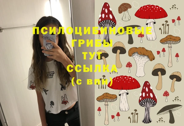 МДПВ Коряжма