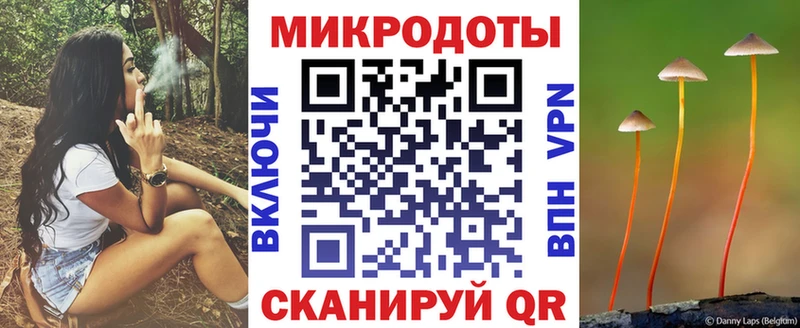 Купить закладки  Аргун  Псилоцибиновые грибы мухоморы 