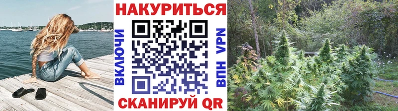 Бошки Шишки сатива  Купить где  Аргун 